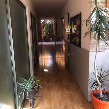 شقة Casa Alejandra أنتوفاغاستا المظهر الخارجي الصورة